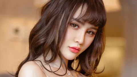 AI中蒙互译系统