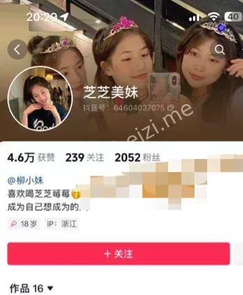 柳懿芝