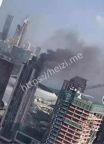 深圳湾悦府