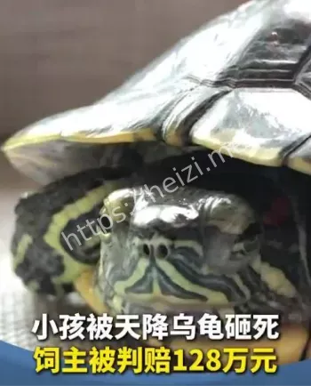 广州