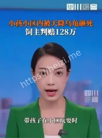 饲养人全责