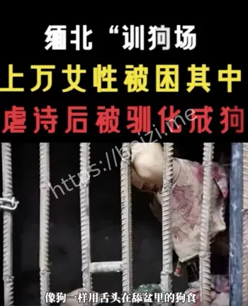 内幕