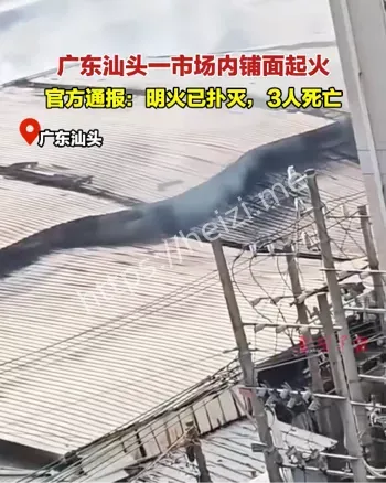 三儿童罹难