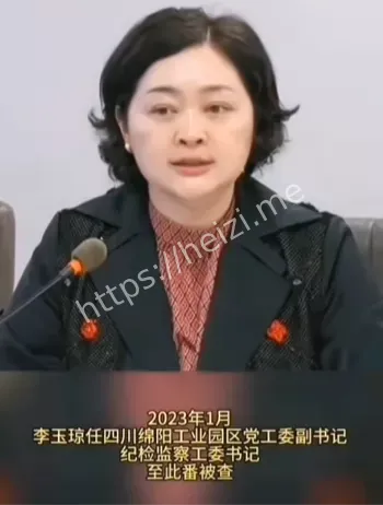 工业园书记