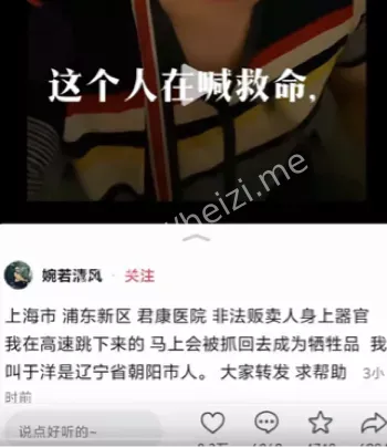 婉若清风