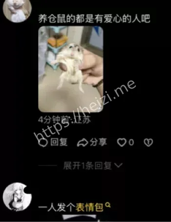 网上求救