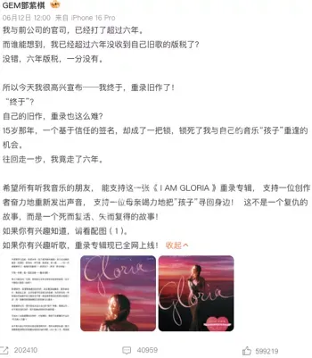 指控侵权