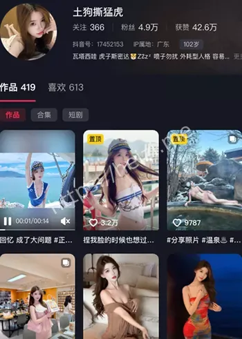 网红塌房
