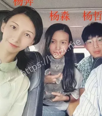 杨淼