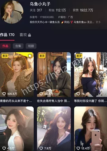 乌鱼小丸子