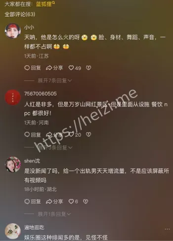 蓝狐狸