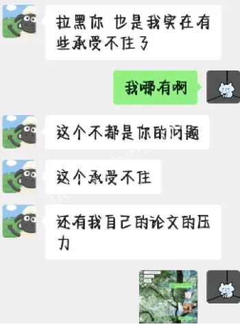 校园恋情