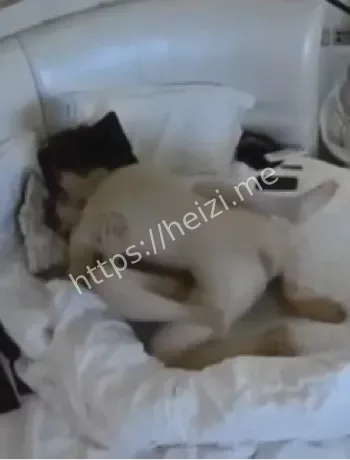 百色祈福
