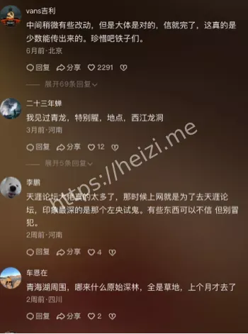 救龙事件