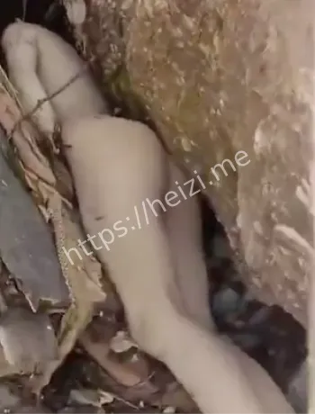 网友视频