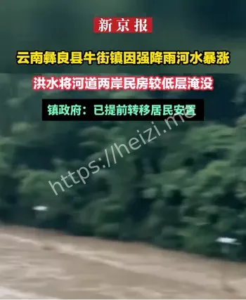 盐津威信