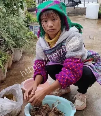 奢侈消费