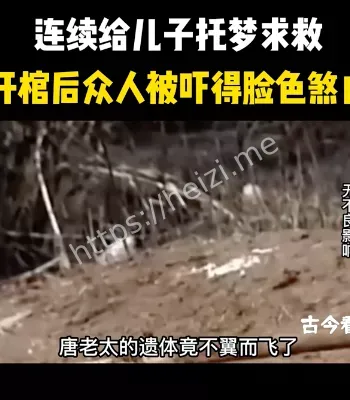 盗墓疑云