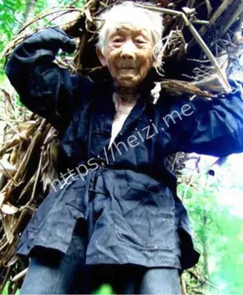 陈俊