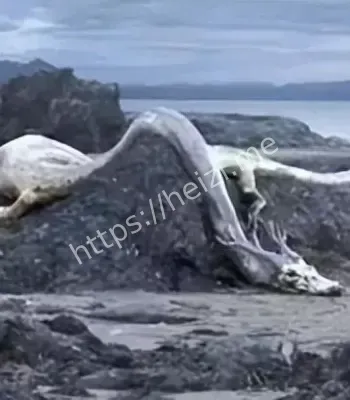 超自然现象