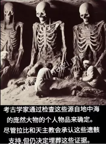 史前人类遗骸
