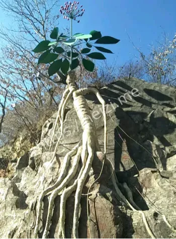 神秘对决
