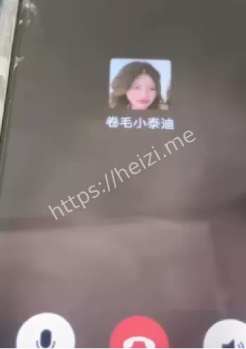 三叶z4kr