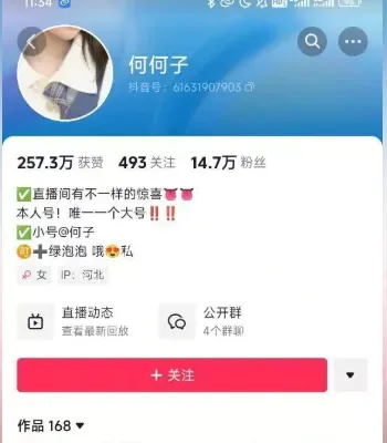 抖音网红