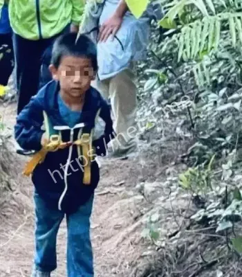 又冷又饿无助死亡