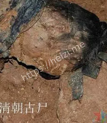 殉情新娘