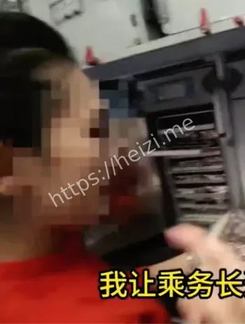 飞机上丑闻