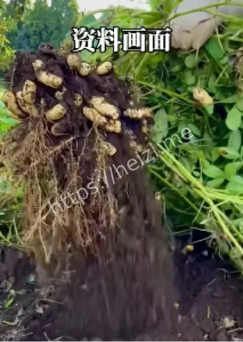 品牌道歉