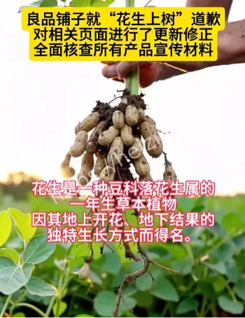 良品铺子