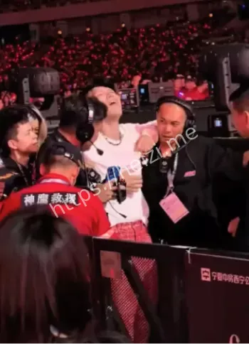 杨宗纬