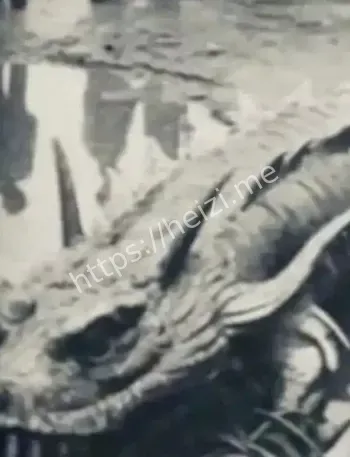 未解之谜龙存在证据