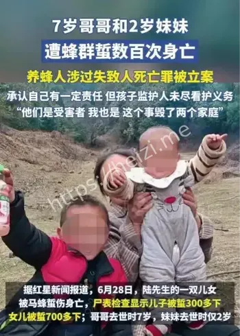 胡蜂蜇人