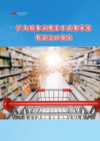 服务消费