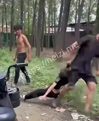 校园暴力