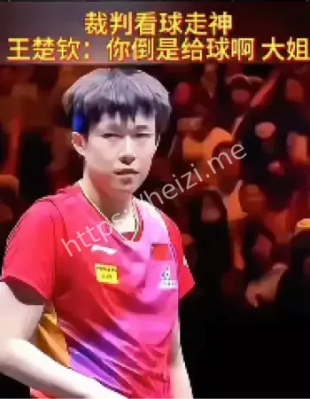 王楚钦