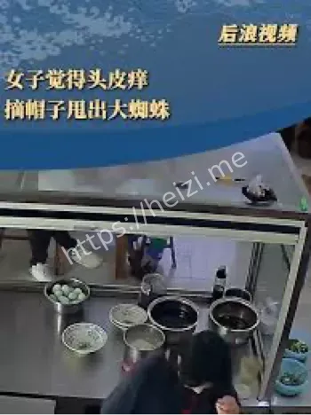 甩出大蜘蛛