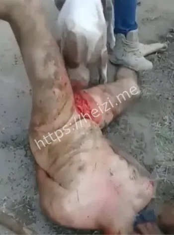 墨西哥网传黑帮私刑核查