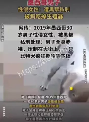 2019年9月暴力视频真伪