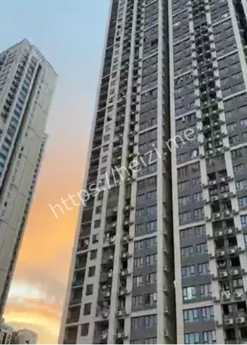深圳龙岗金地