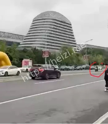 龙六车主伤情与保险