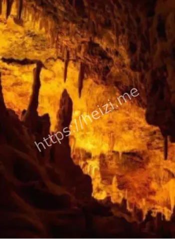 莫维莱洞细菌共生进化