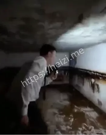 黑弥撒热搜