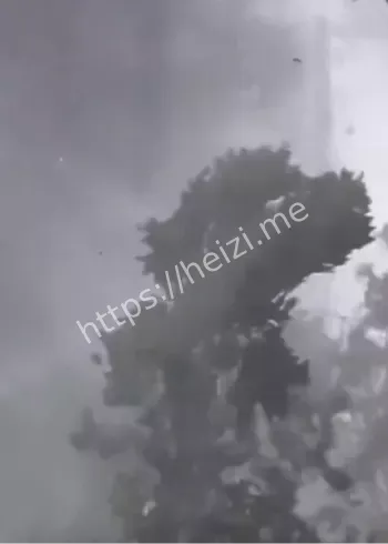 暴雨大风防御措施