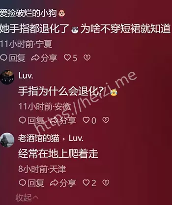 双卵管摘除