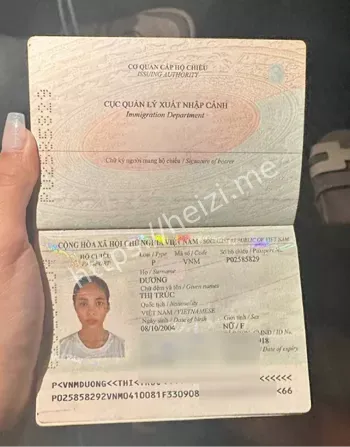 越南离婚杀妻自杀案