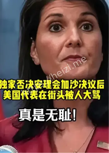 安理会加沙停火表决